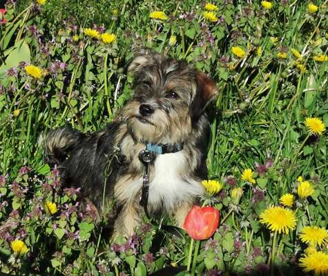 11. Farben Foto Challenge Rot-Beitrag-Bild