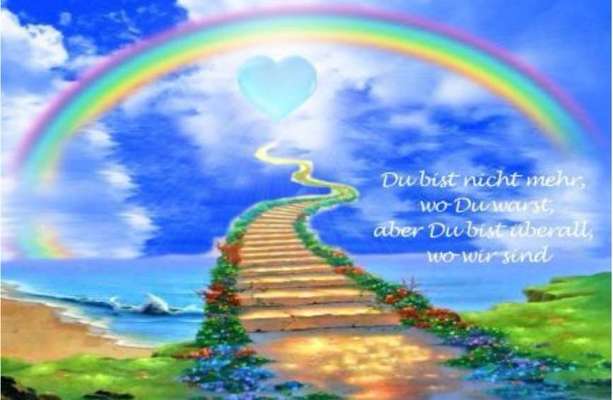 Dringende Hilfe: Hund isst nichts/Apathie-Beitrag-Bild