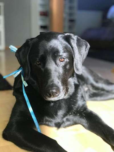 Fotochallange Nr. 57     PORTRÄT.   Beendet!!!!!!!!-Beitrag-Bild