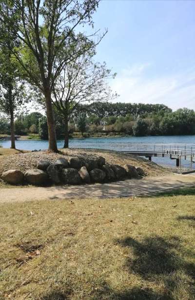 Hundeurlaub In Deutschland-Beitrag-Bild