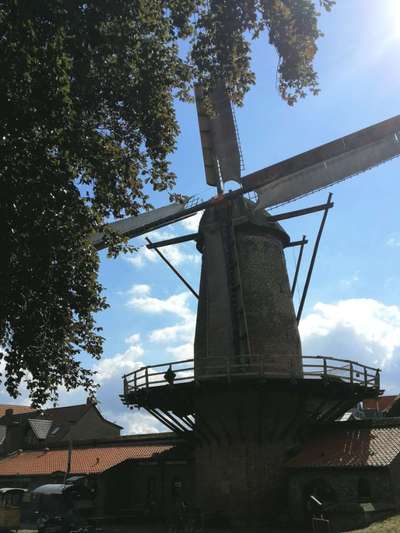 Hundeurlaub In Deutschland-Beitrag-Bild