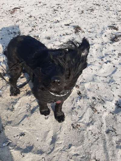 Fotochallenge Nr 50 Vom Winde verweht-Beitrag-Bild