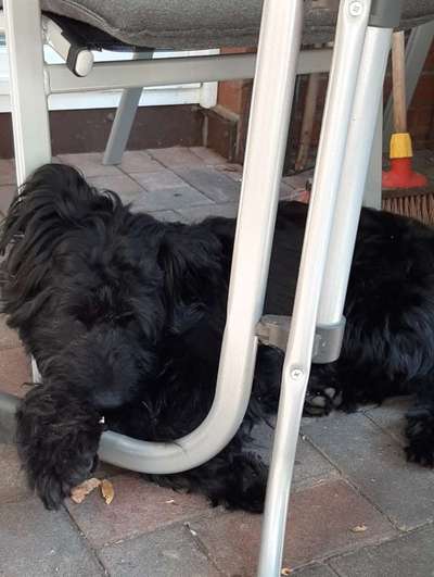 Die unbequemsten und lustigsten Schlafpositionen-Beitrag-Bild