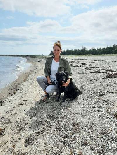 Hundmenschfotos-Beitrag-Bild