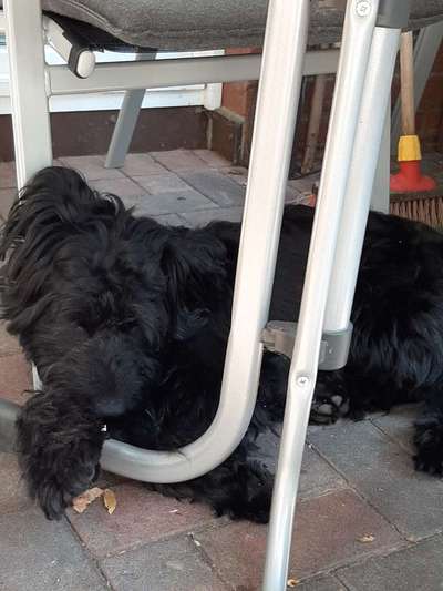 Die unbequemsten und lustigsten Schlafpositionen-Beitrag-Bild