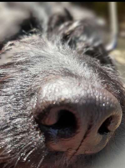 Blick fürs Detail!-Beitrag-Bild