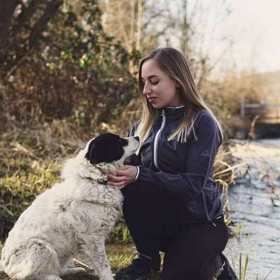 Hundetreffen-Spaziergang-Profilbild