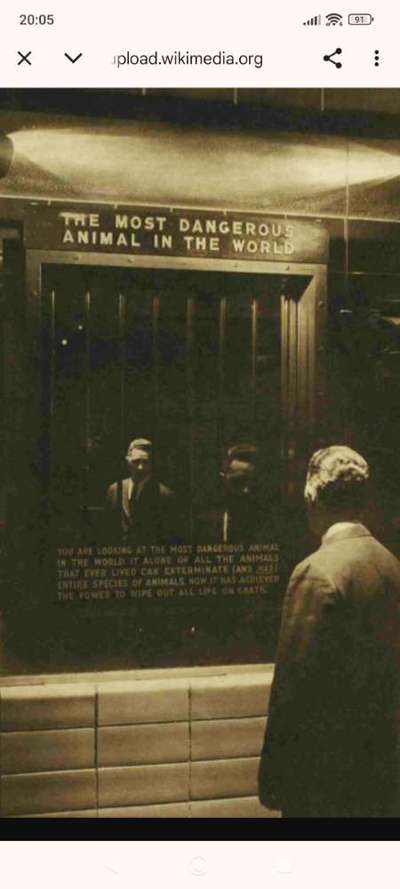 Ice-Bucket Challenge mit Hunden-Beitrag-Bild