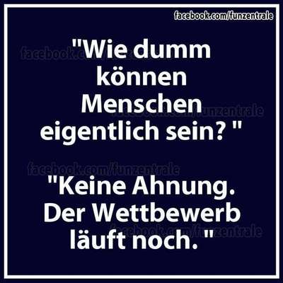 🤬😳Hundepiercings – Warum tut man sowas?!-Beitrag-Bild