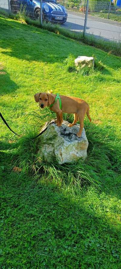 64. Handy Foto Challenge - Hoch hinaus-Beitrag-Bild