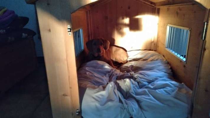 140. Foto Challenge - schattiges Plätzchen-Beitrag-Bild