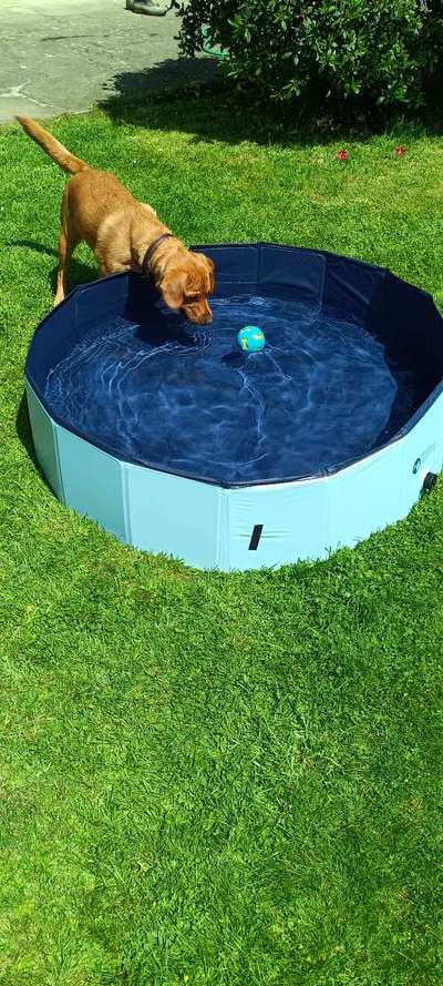 138. Fotochallenge 

(M)Ein Ball und ich-Beitrag-Bild