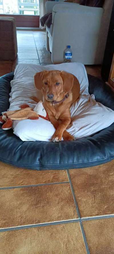 65. Handy Foto Challange                     "Ich kann nicht ohne..."-Beitrag-Bild