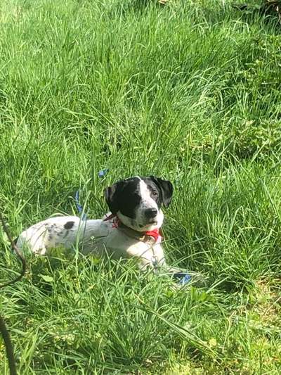 Theos  Fotochallenge Nummer 2-Beitrag-Bild