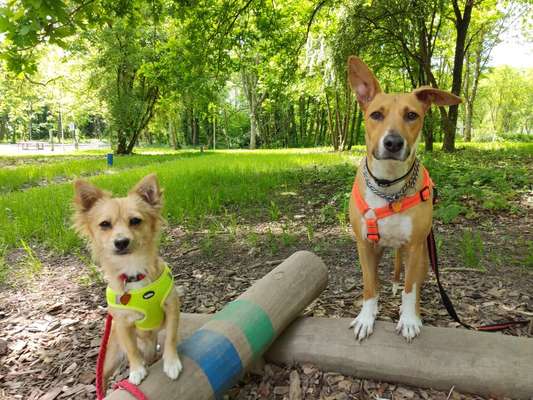 Fotowettbewerb Natur-Beitrag-Bild