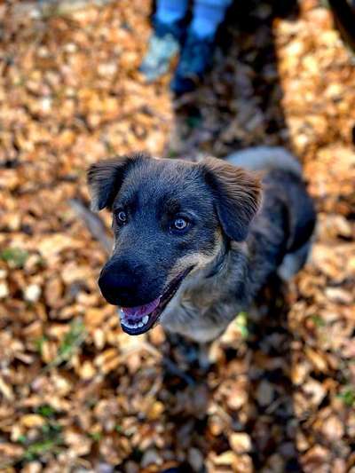 Von oben-Beitrag-Bild