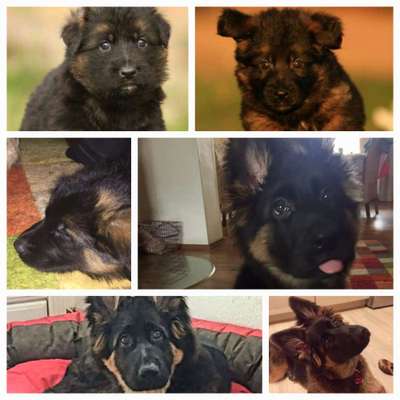 Sie werden so schnell groß!-Beitrag-Bild