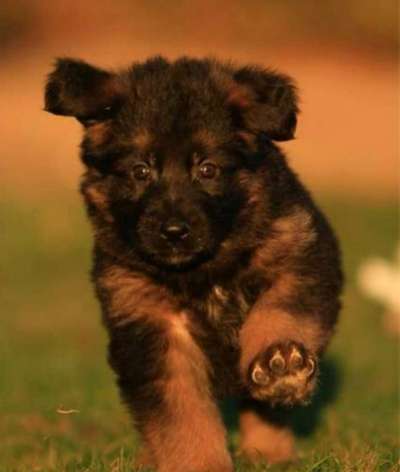 Vorher.... Nachher-Beitrag-Bild