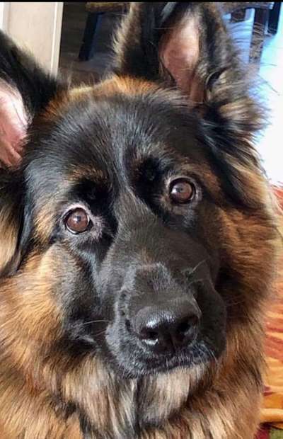 Vorher.... Nachher-Beitrag-Bild