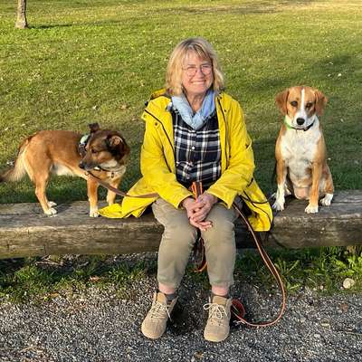Hundetreffen-Social Walk-Profilbild