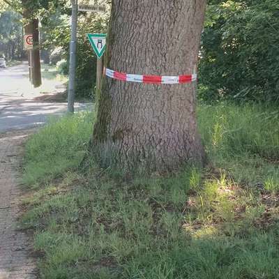 Giftköder-Gekennzeichnete Bäume/ EPS-Bild