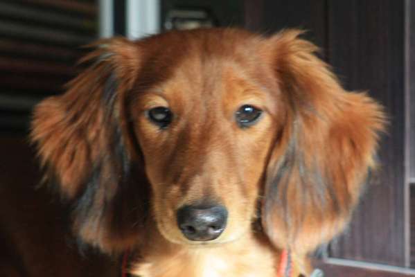 Vorher.... Nachher-Beitrag-Bild