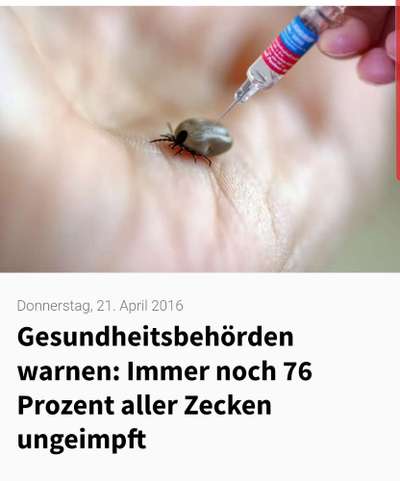 Wer kennt dieses Tier?-Beitrag-Bild