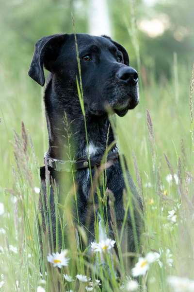 Austausch zur Fotografie-Beitrag-Bild