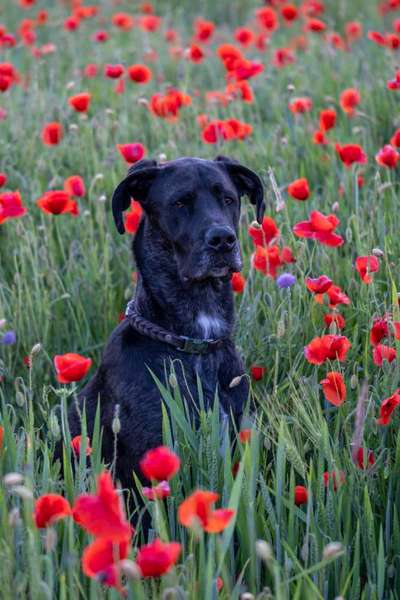 Austausch zur Fotografie-Beitrag-Bild