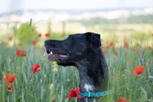 Austausch zur Fotografie-Beitrag-Bild