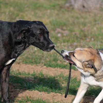 Austausch zur Fotografie-Beitrag-Bild