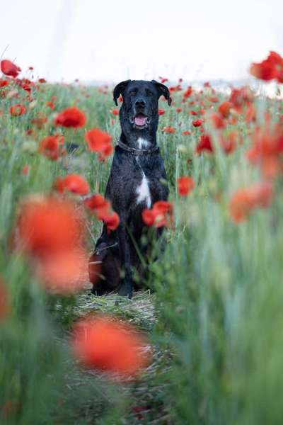 Austausch zur Fotografie-Beitrag-Bild