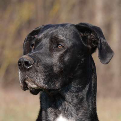 Austausch zur Fotografie-Beitrag-Bild