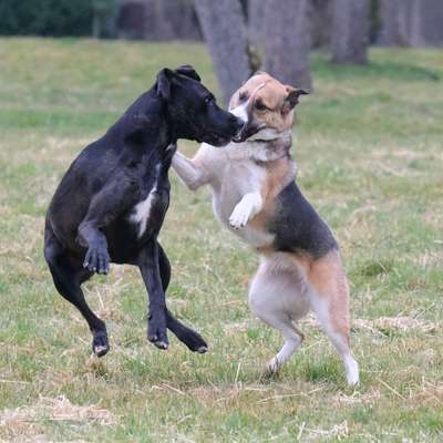 Austausch zur Fotografie-Beitrag-Bild
