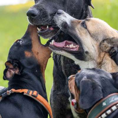 Austausch zur Fotografie-Beitrag-Bild
