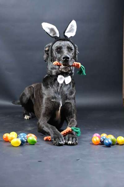 Austausch zur Fotografie-Beitrag-Bild