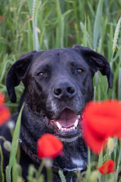 Austausch zur Fotografie-Beitrag-Bild