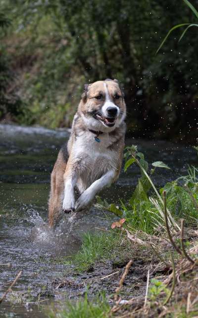 Austausch zur Fotografie-Beitrag-Bild