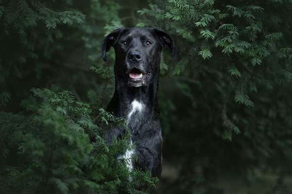 Austausch zur Fotografie-Beitrag-Bild