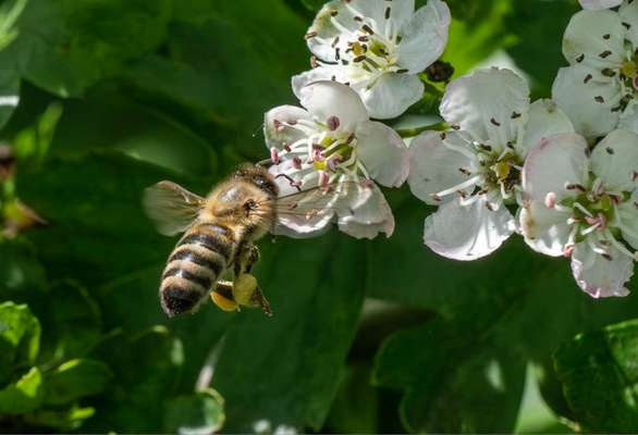 Austausch zur Fotografie-Beitrag-Bild