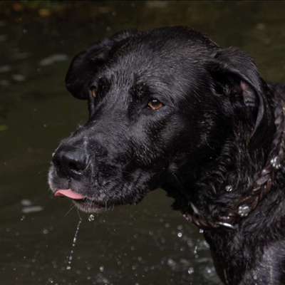 Austausch zur Fotografie-Beitrag-Bild