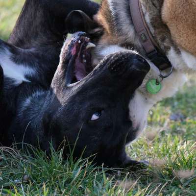 Austausch zur Fotografie-Beitrag-Bild