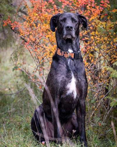 Austausch zur Fotografie-Beitrag-Bild