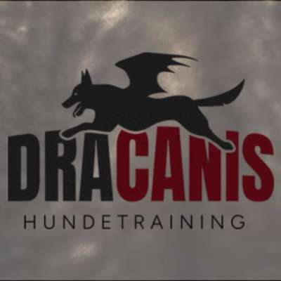 Hundeschulen-Dracanis Hundetraining-Bild