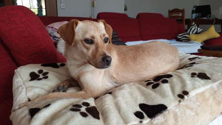 Doppelgänger gesucht !-Beitrag-Bild