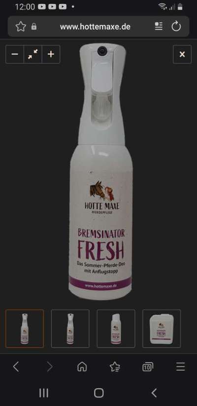 Hauptprobleme und entzündete Ohren-Beitrag-Bild