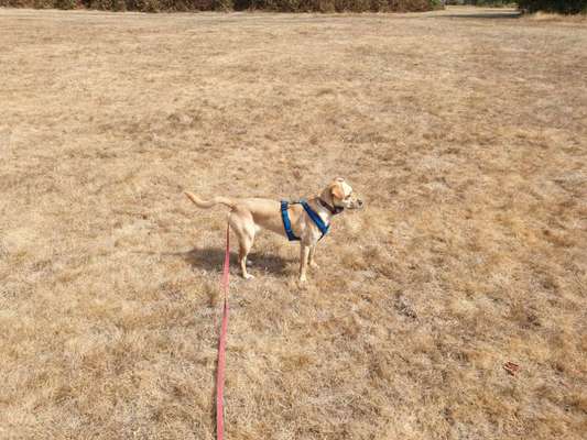 Ton in Ton-Beitrag-Bild