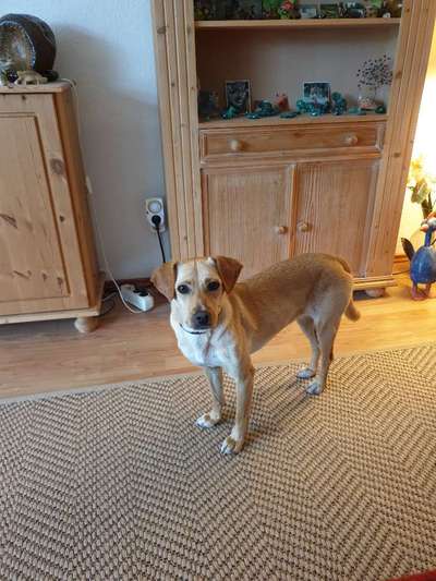 Doppelgänger gesucht !-Beitrag-Bild