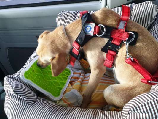 Probleme mit dem Autofahren-Beitrag-Bild