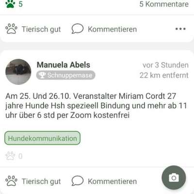 HSH abgeben?-Beitrag-Bild